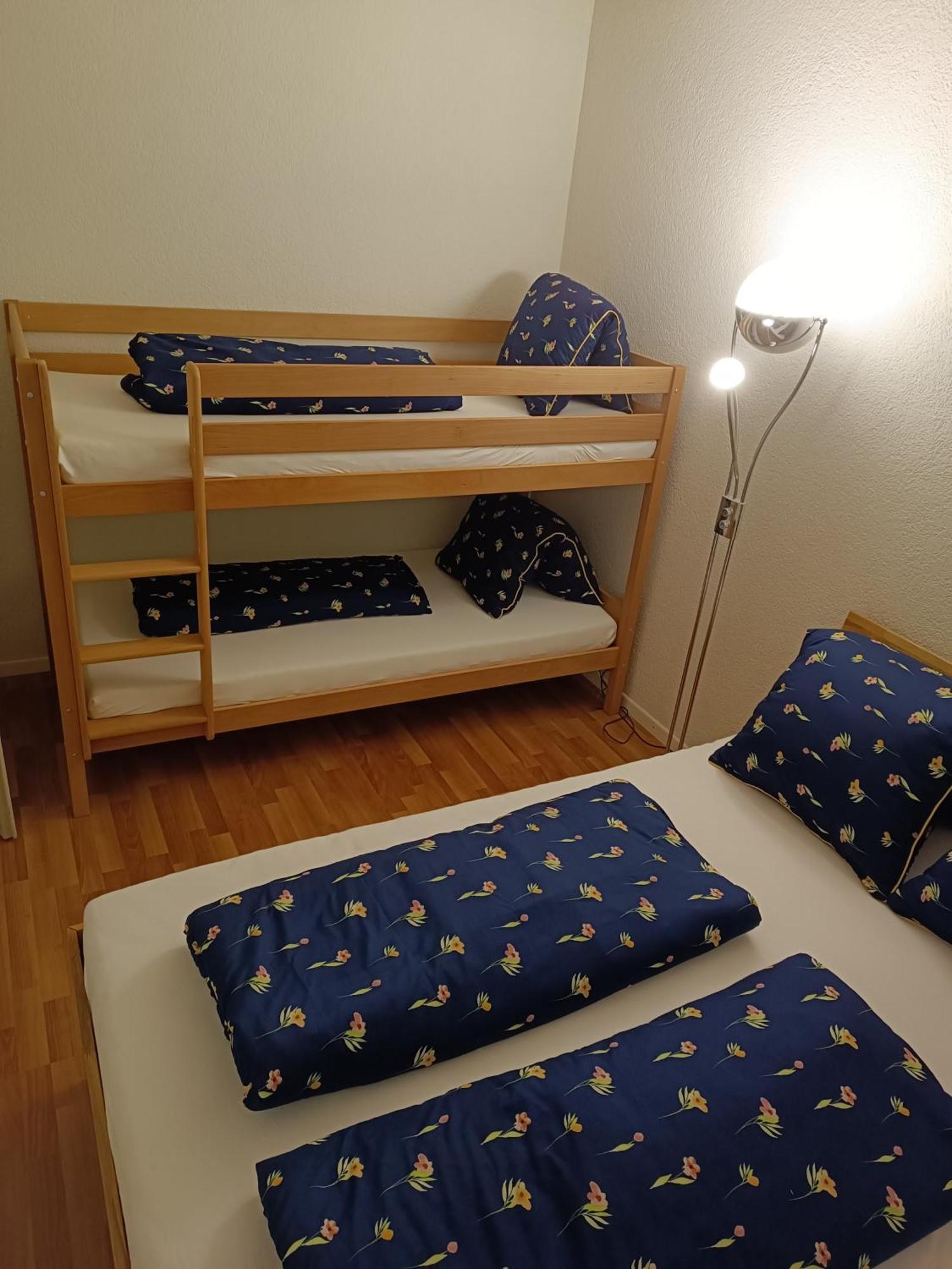 Apartment Jolie อินเทอร์ลาเคน ภายนอก รูปภาพ